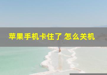 苹果手机卡住了 怎么关机